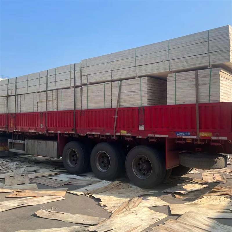 伊川县探寻会东县进仓物流的多元运输奥秘